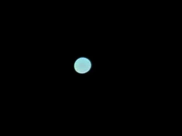 Image #5 from Jessie