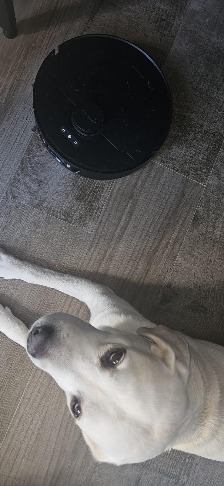 Review of Dreame X30 Ultra Robot Vacuum and Mop Combo, 8300Pa Suction, Mop Extend and Mop Self Cleaning with 140°F Water, Removable & Liftable Mop, Self Refilling, Mop Self Drying, Smart Carpet Cleaning by Ezequiel Zamora