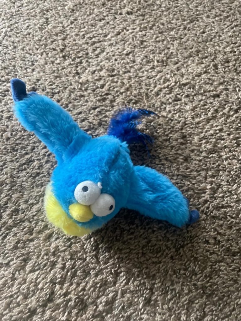 Image #4 from SS