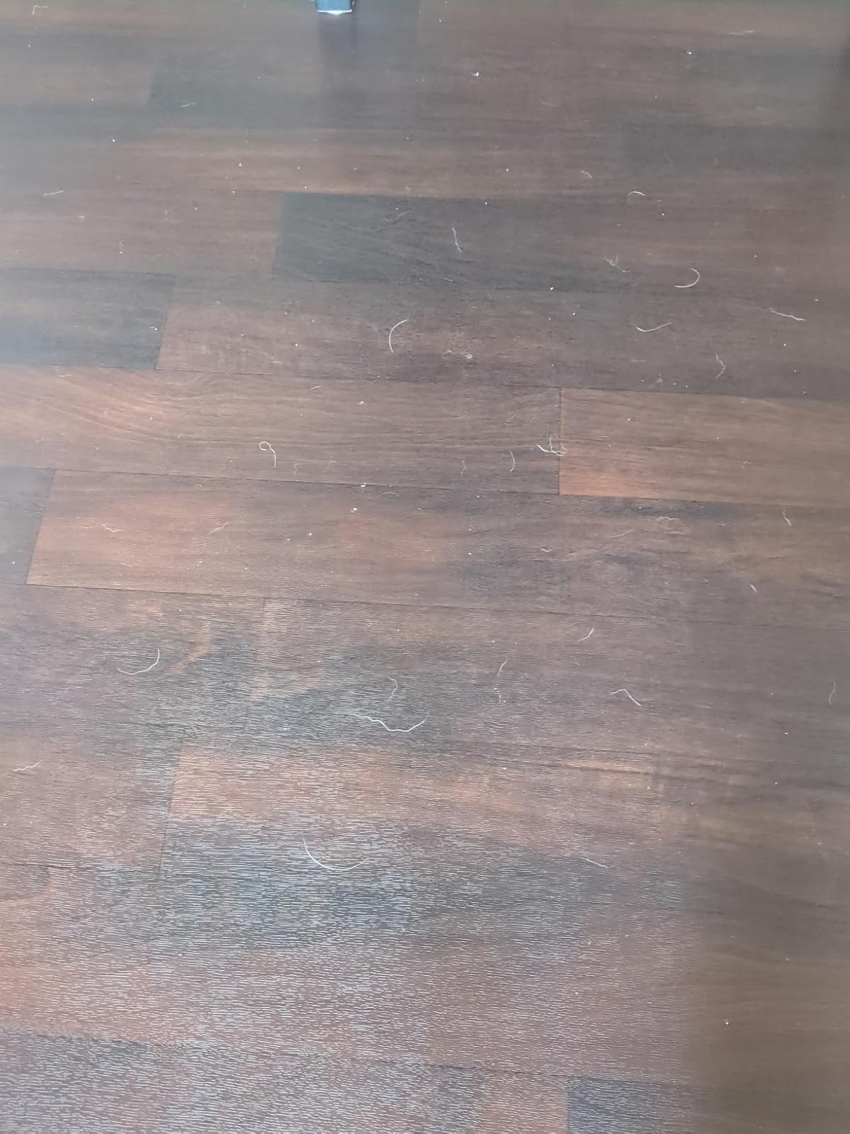 Review of Dreame X30 Ultra Robot Vacuum and Mop Combo, 8300Pa Suction, Mop Extend and Mop Self Cleaning with 140°F Water, Removable & Liftable Mop, Self Refilling, Mop Self Drying, Smart Carpet Cleaning by Anthony Pitts