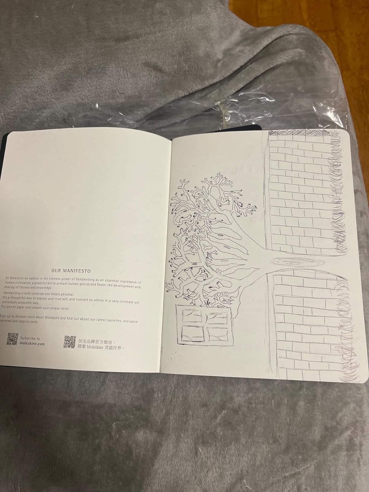 Review of Moleskine Smart Writing Set Smart Notebook & New Smart Pen (2022) - Store Handwritten Notes Digitally, with Connected Notebook Notes App (Only Compatible Smart Notebooks) by Moisés Prates