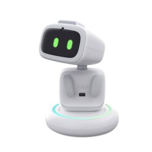 AIBI Pocket