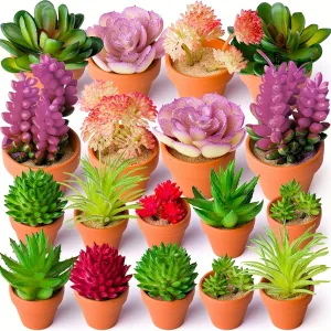 27pcs mini DIY succulent combination, kitchen living room display furniture Creative outdoor interior decoration bonsai green plant spring Autumn Thanksgiving Harvest Festival